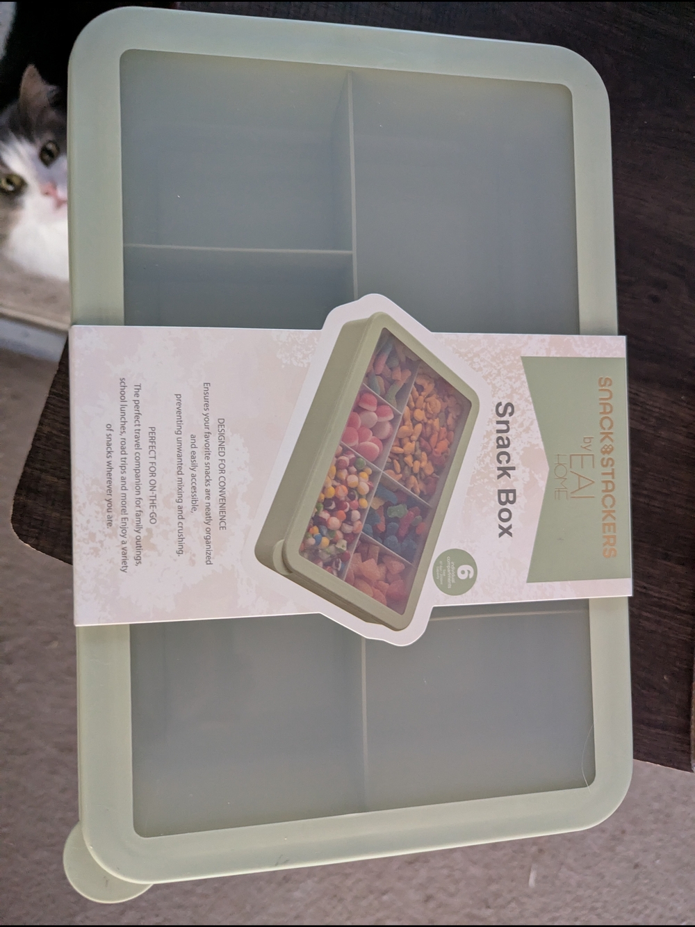 Snack Box 6-Compartment Organizer